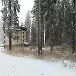 Evrika Forest *