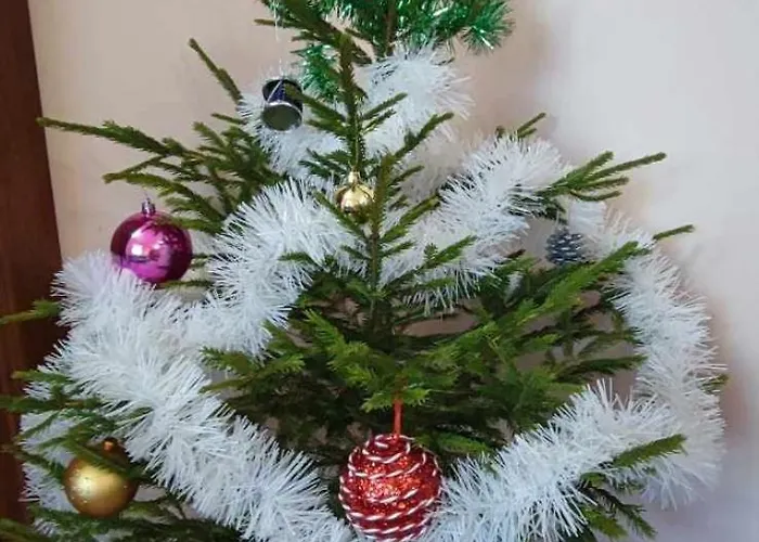 Evrika Forest Апартамент *